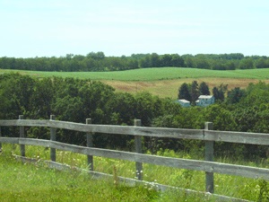 Findlay Farmland
